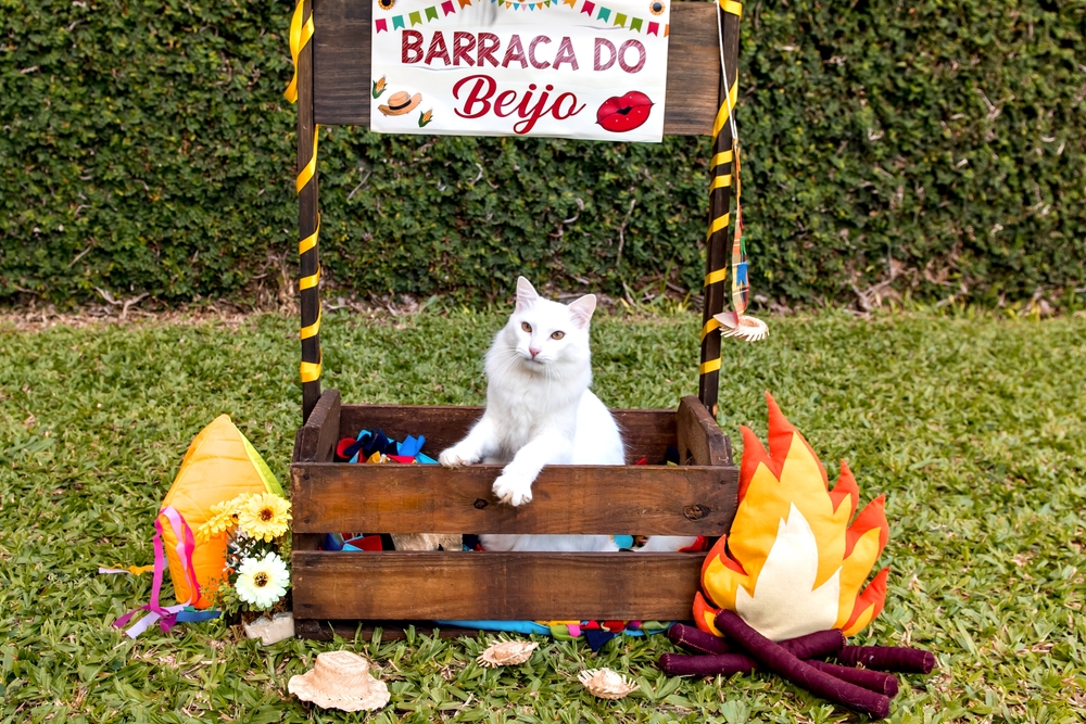 Barraca de São João com um gato branco - serviços temáticos - Assaí Atacadista
