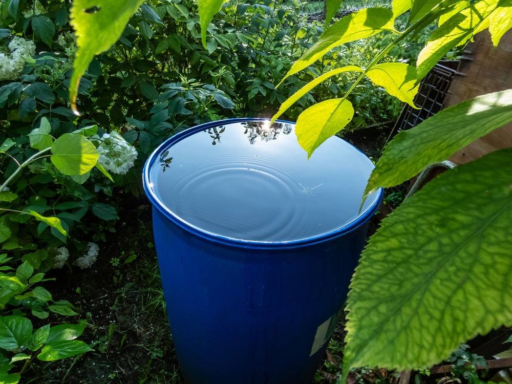 barril de água azul em um fundo verde - tecnologia para economizar - Assaí Atacadista