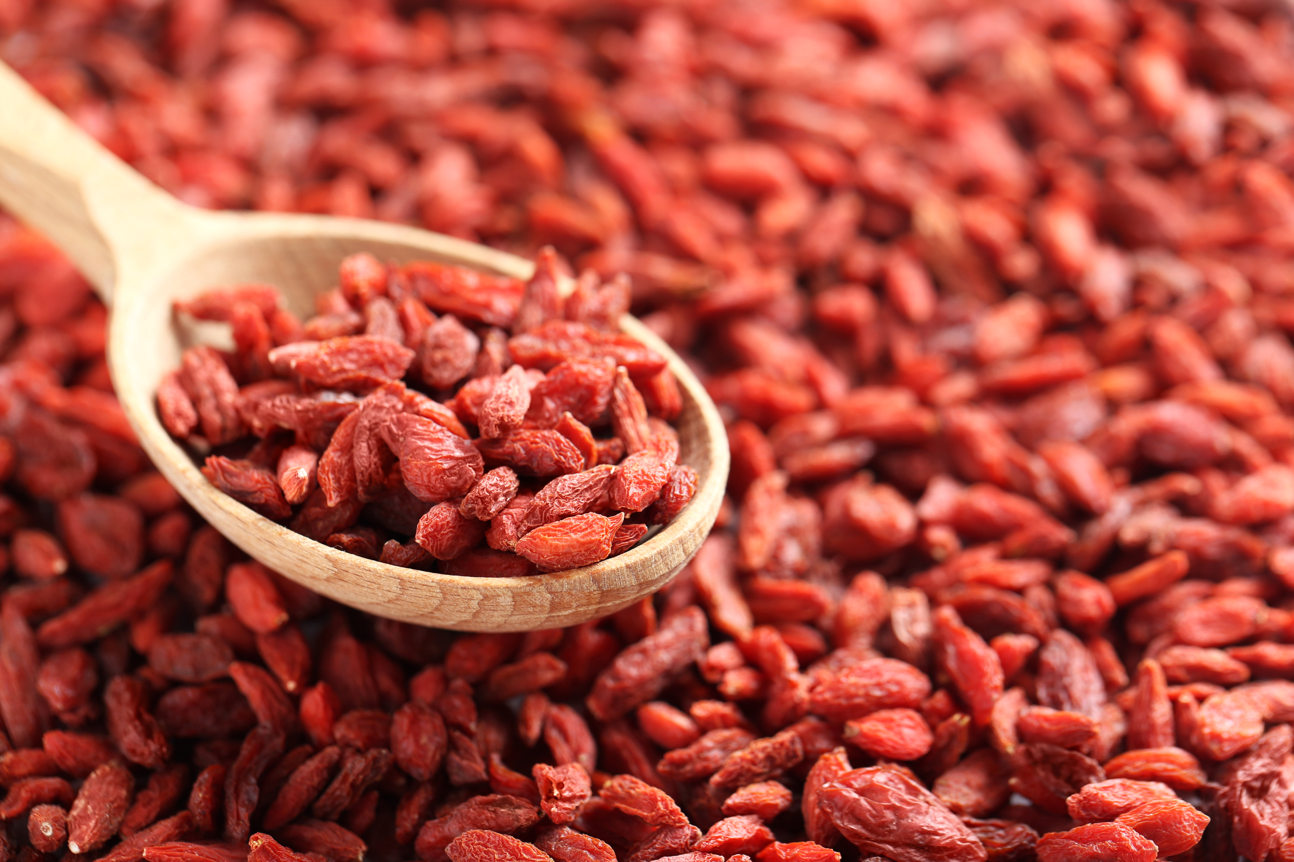 Conhe a os benef cios e os nutrientes do goji berry