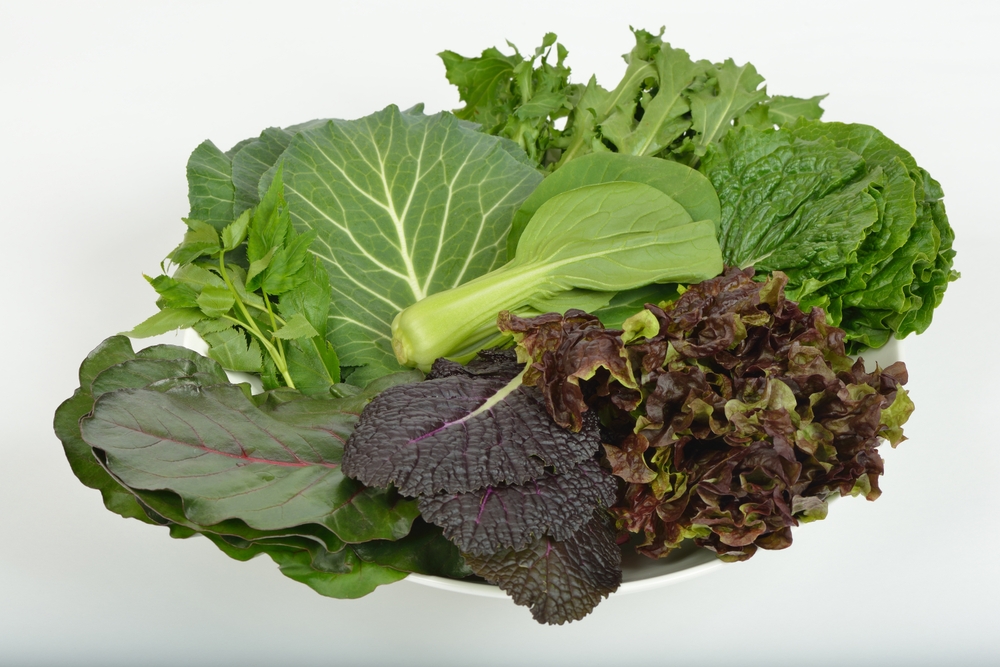 folhas de verduras juntas em um fundo branco - legumes de inverno - Assaí Atacadista