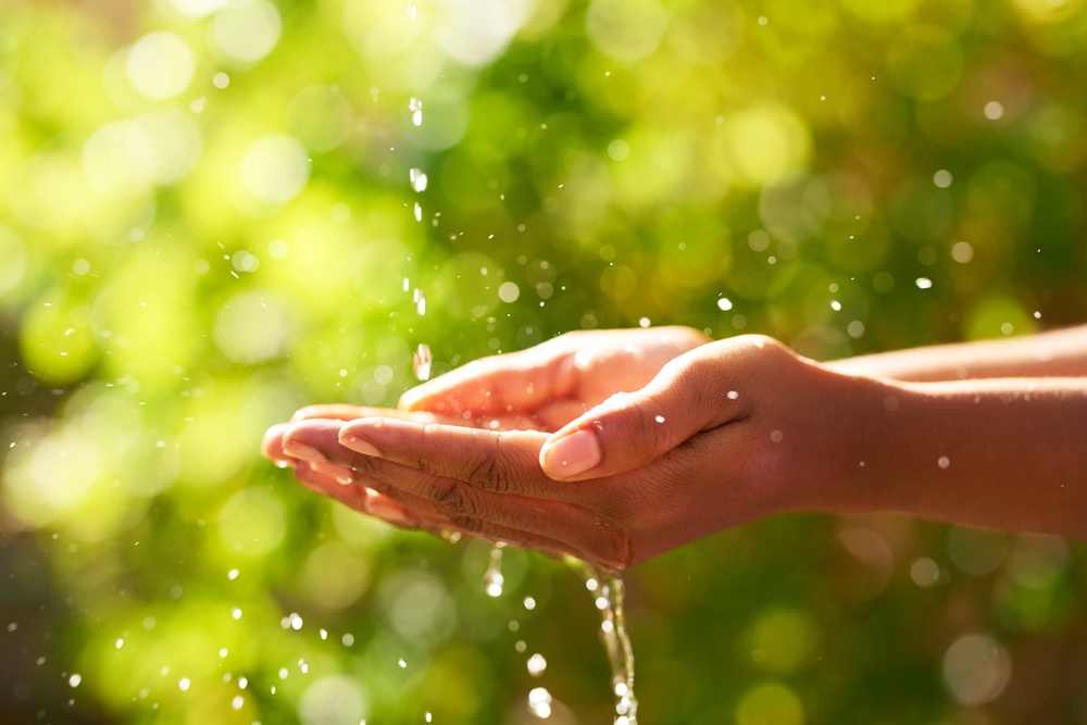 mão de uma pessoa negra segurando água em um fundo verde - comércio sustentável - Assaí Atacadista